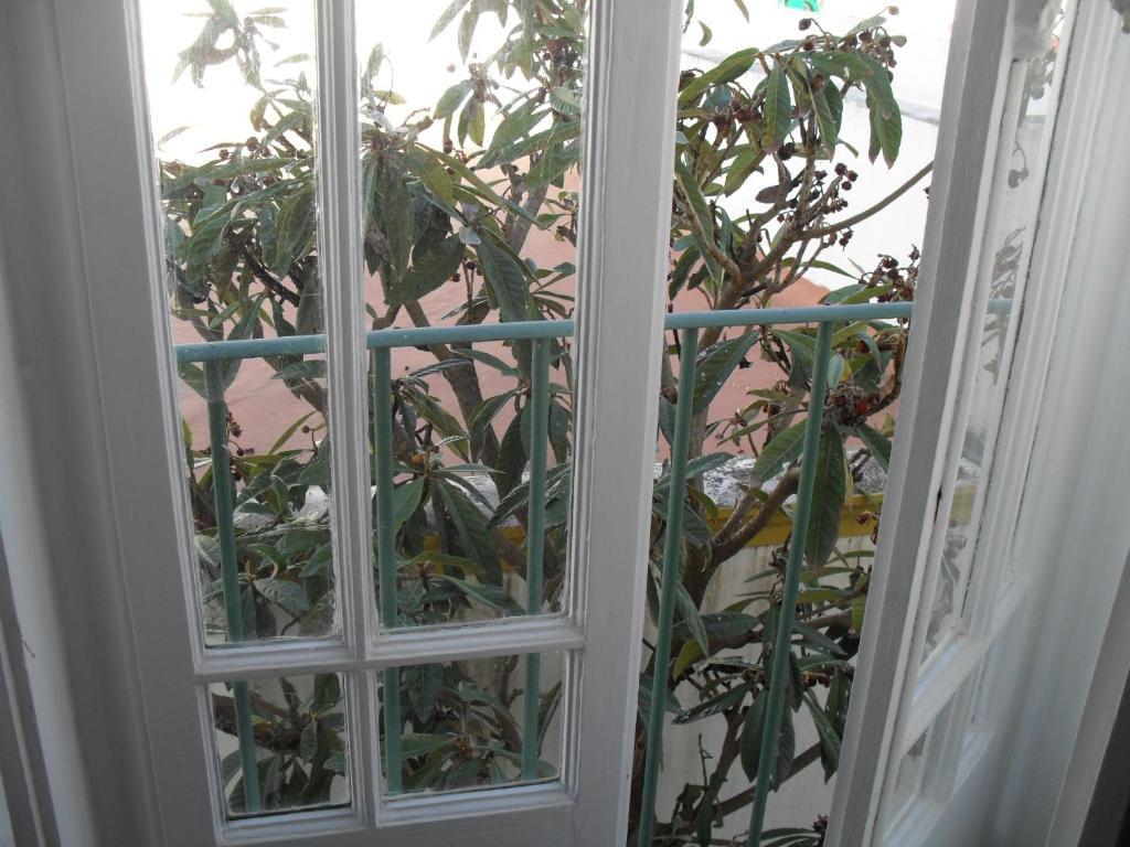 Casa Verde Ferreira Do Alentejo Pokój zdjęcie