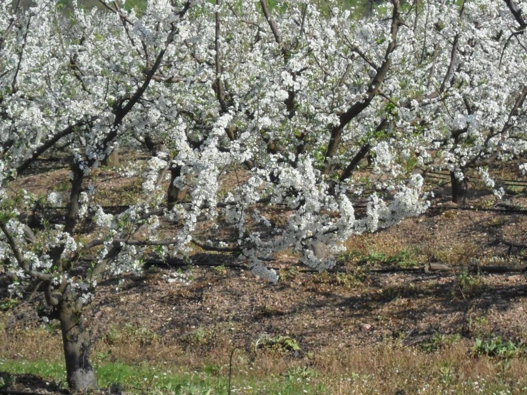 Casa Verde Ferreira Do Alentejo Zewnętrze zdjęcie